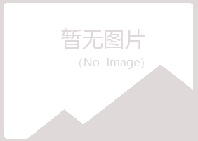 琼海字迹机械有限公司